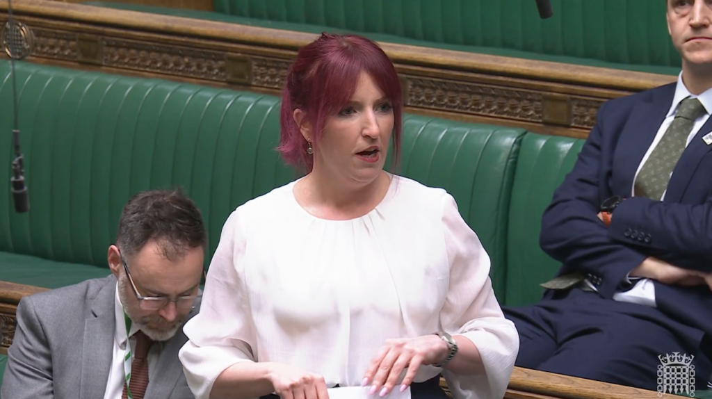 Louise Haigh speaks in the House of Commons